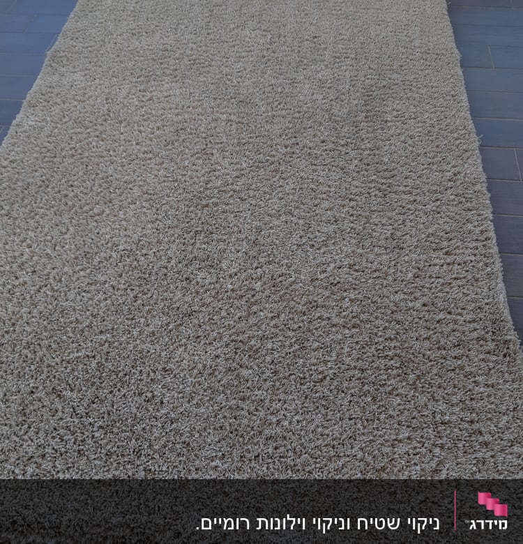 שטיח בהיר על רצפה כהה, ללא כלי ניקוי